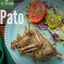 Pato
